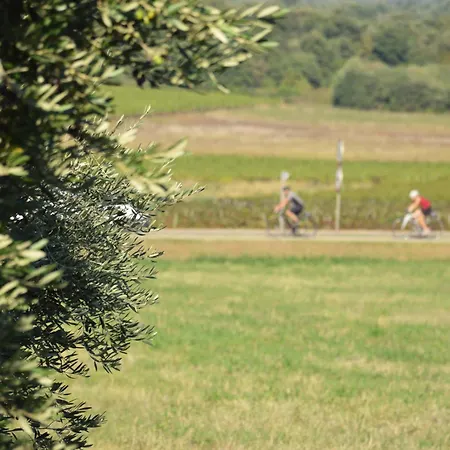 Silos Апартаменты